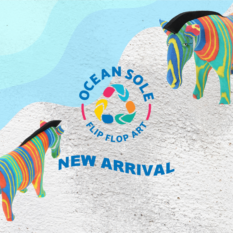 Ocean Sole New Arrival